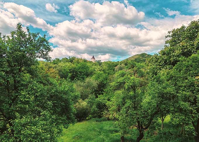Green village in Transylvania