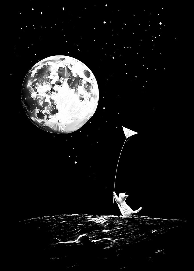 Cat and His Kite