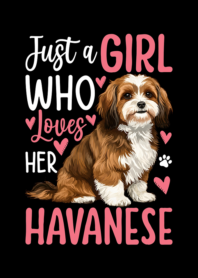 Just a Girl Who Loves Havanese