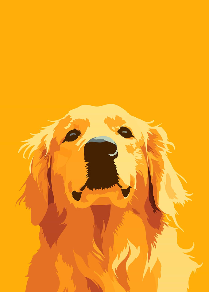 Golden Retriever Portrait Pop Art Cute Funny Dog Minimalist Illustration