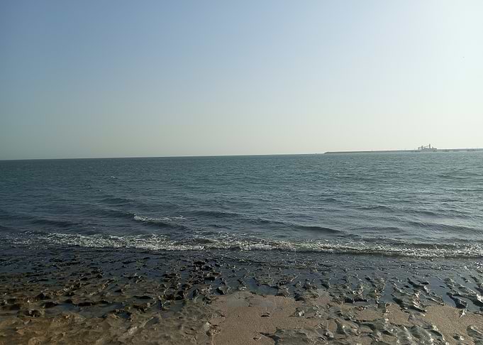 Calm Ocean View with Rocky Shore