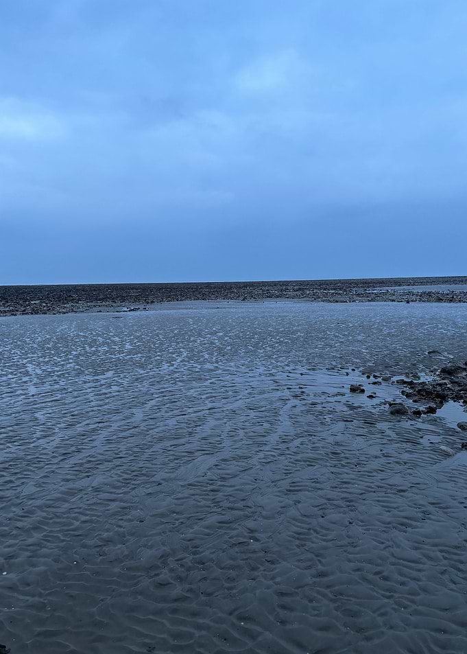 Gloomy Beach Landscape