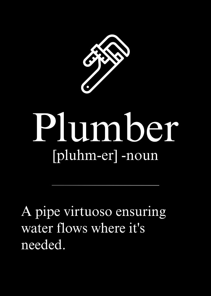 Plumber Definition