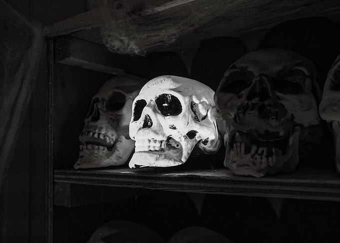 Monochrome Skulls on Shelf