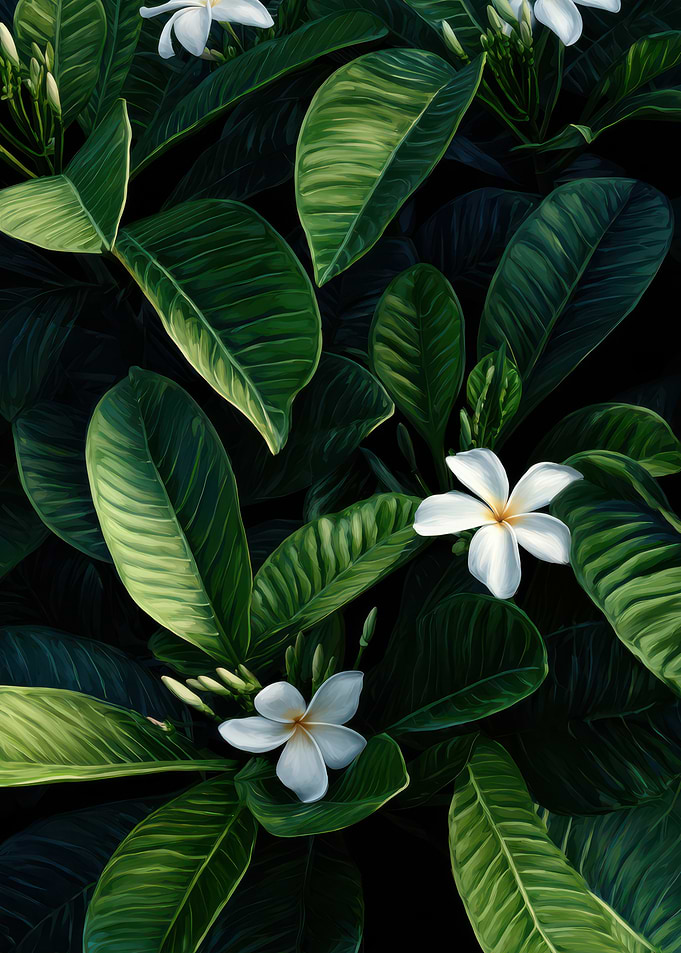 Plumeria Flowers and Leaves Painting