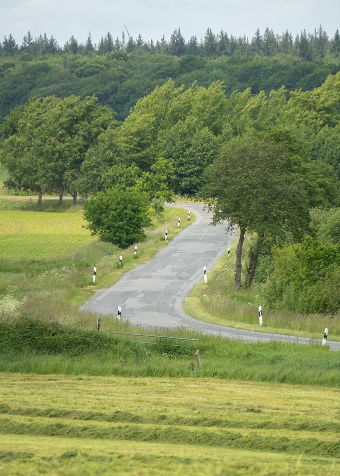 Empty Road Through Green Landscape
