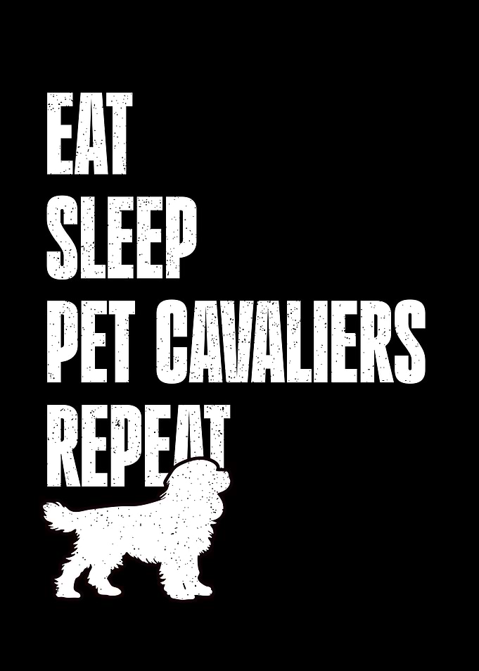 Eat Sleep Pet Cavaliers Repeat