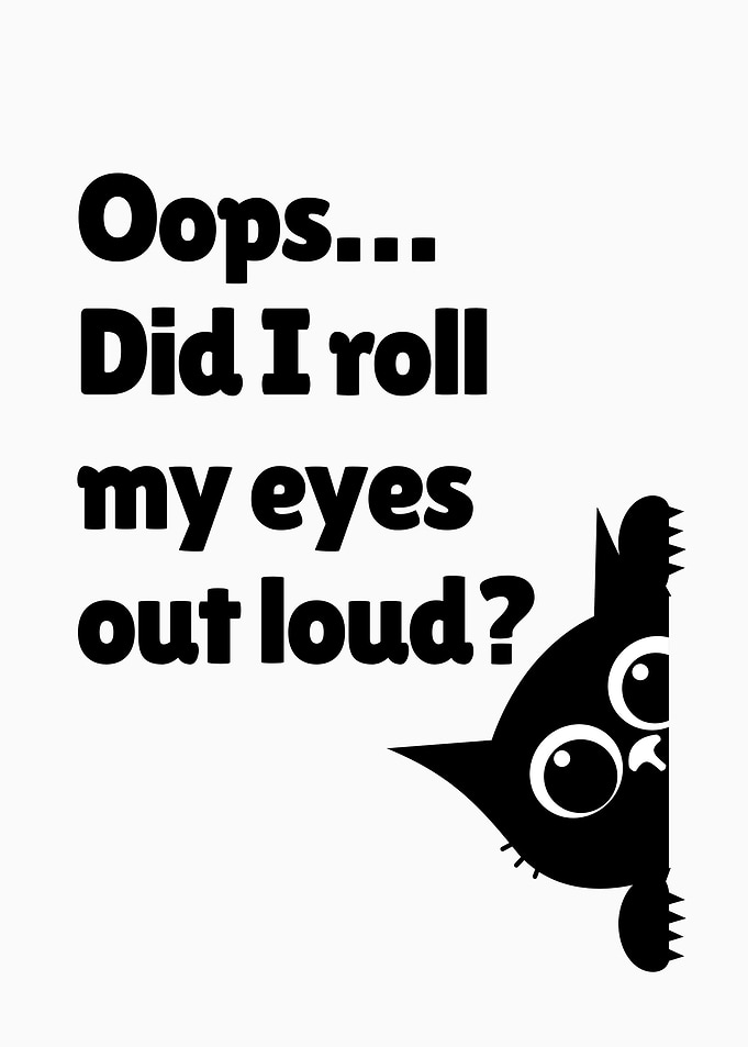Funny Black Cat Poster