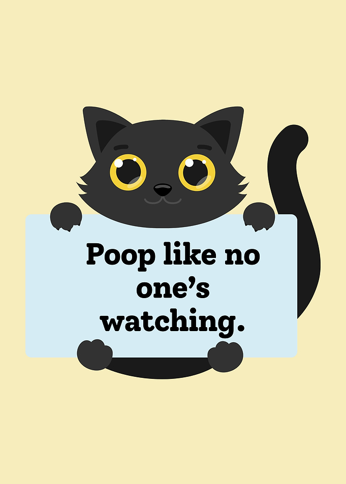 Funny Cat Toilet Poster