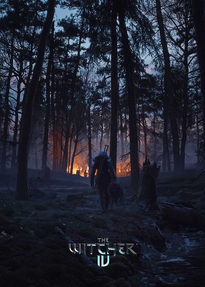 Lone Witcher