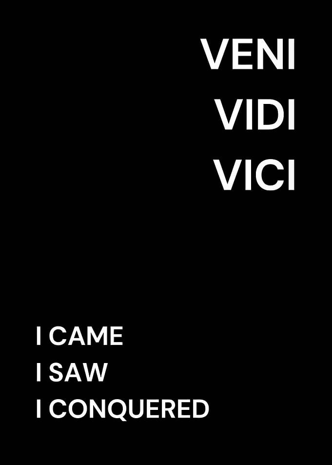 Veni Vidi Vici Minimalist Text Art