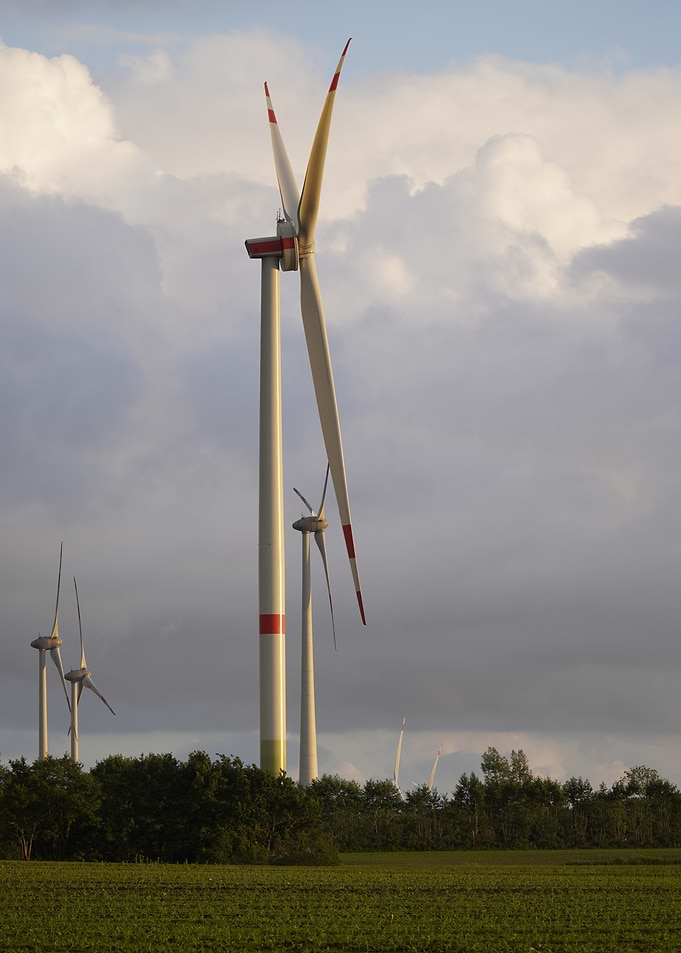 Wind Turbines in a Field