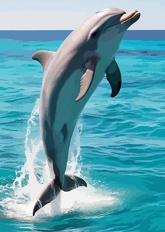 Dolphin leaping from the ocean
