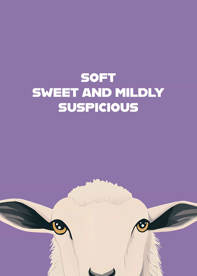 Suspicious Sheep