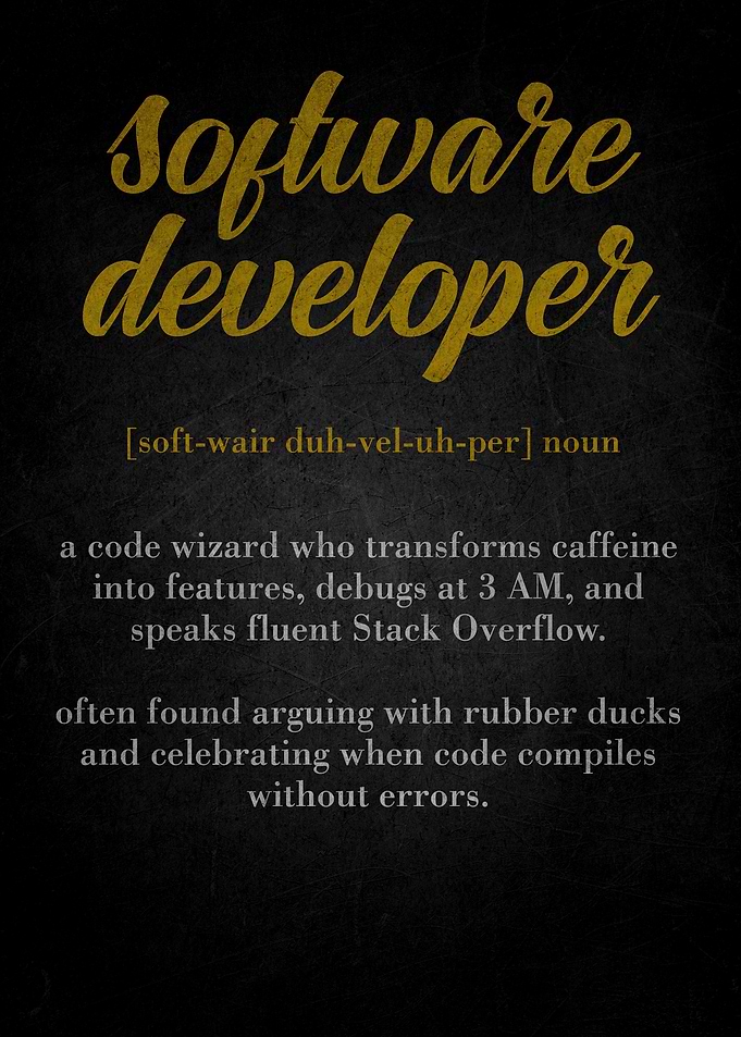 Software Developer Definition Poster