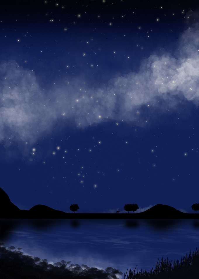 Night Sky Over Lake