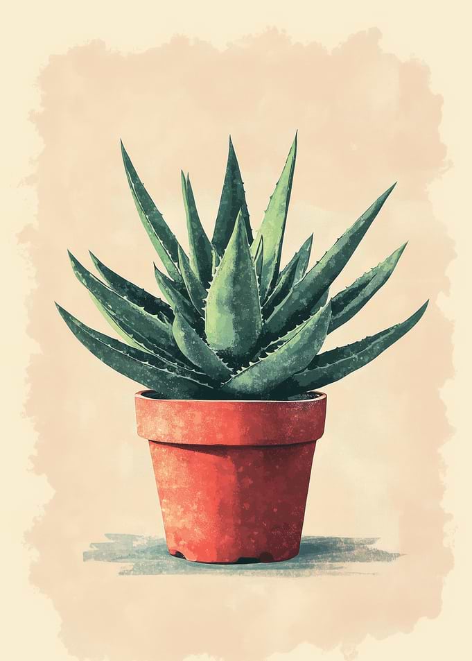 Aloe Vera Plant in Pot Illustration | Watercolor Botanical Print