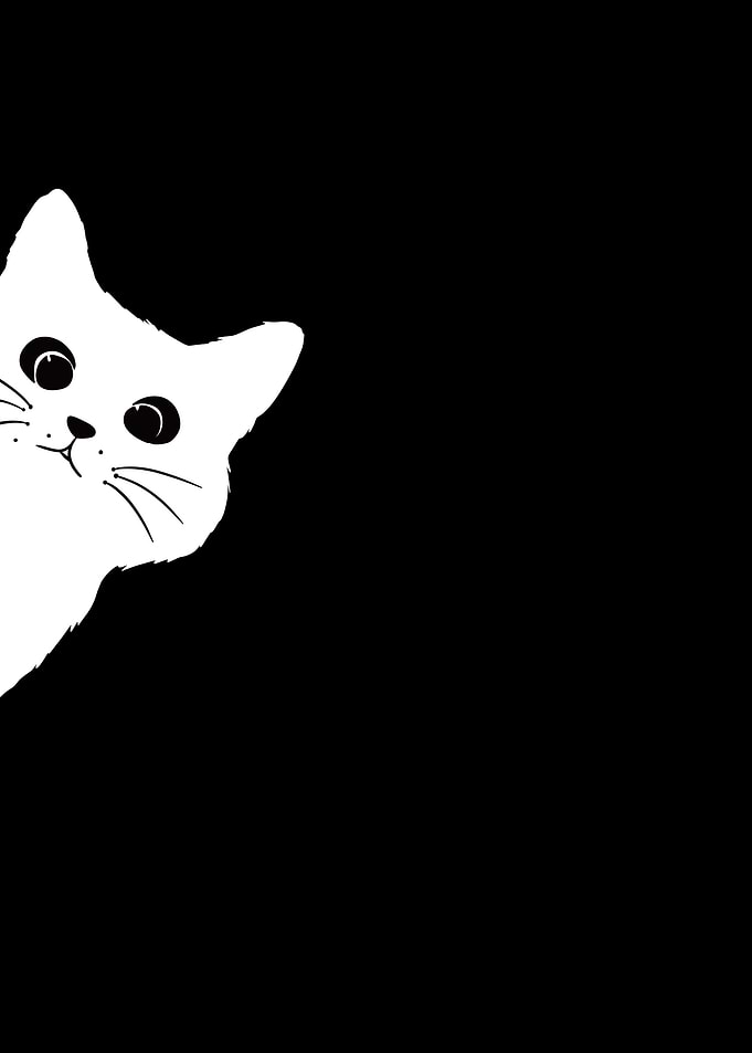 Peeking White Cat on Black Background