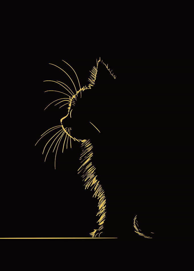 Minimalist Cat Sketch on Black Background