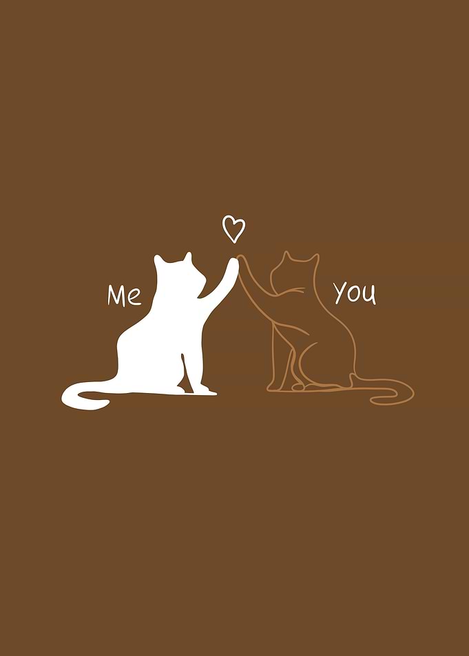 Me and You Cats High Five