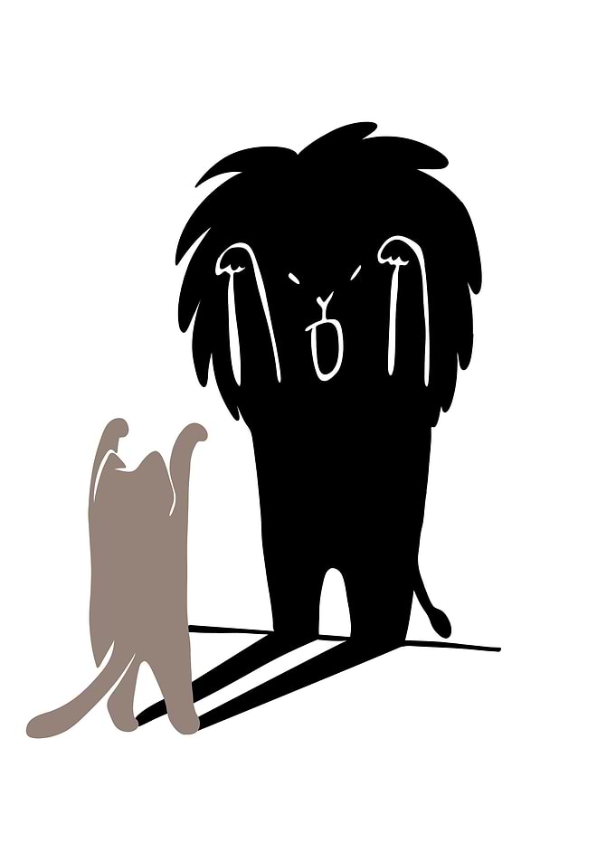 Cat and Lion Shadow Play