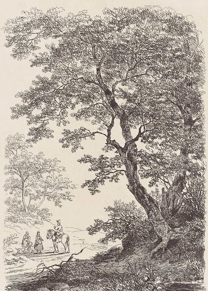 Tree Landscape Sketch no. 23
