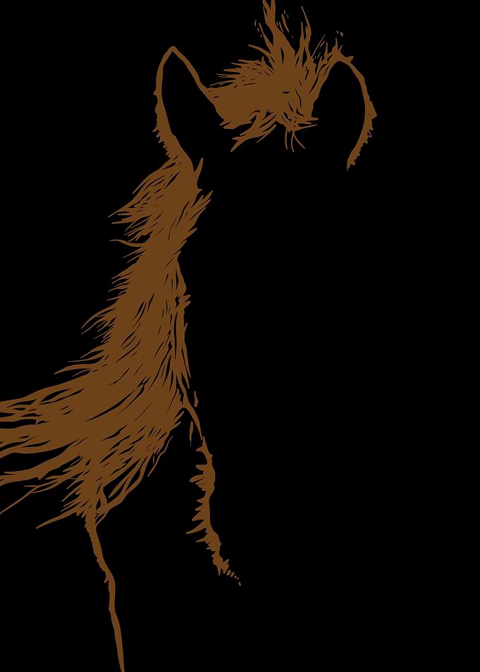 Horse Silhouette in Brown on Black