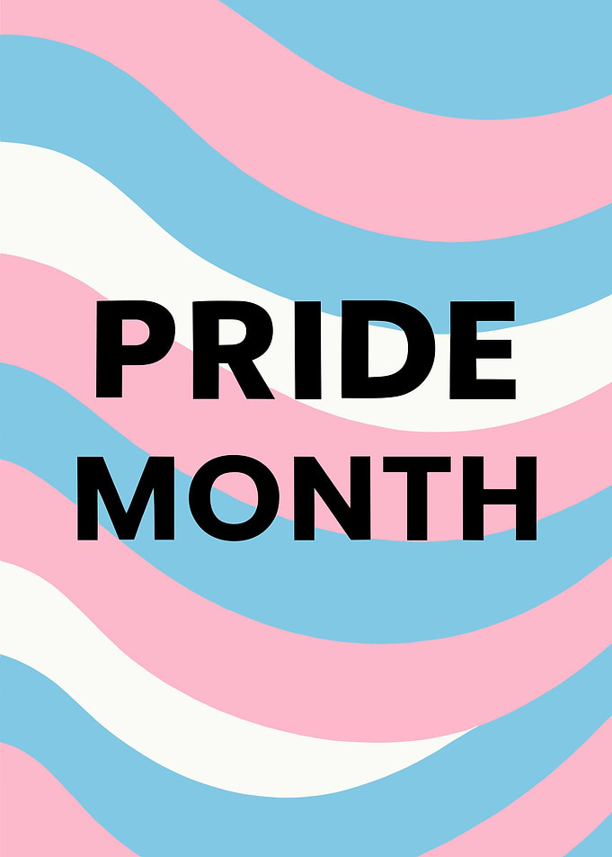 Pride Month Transgender Flag