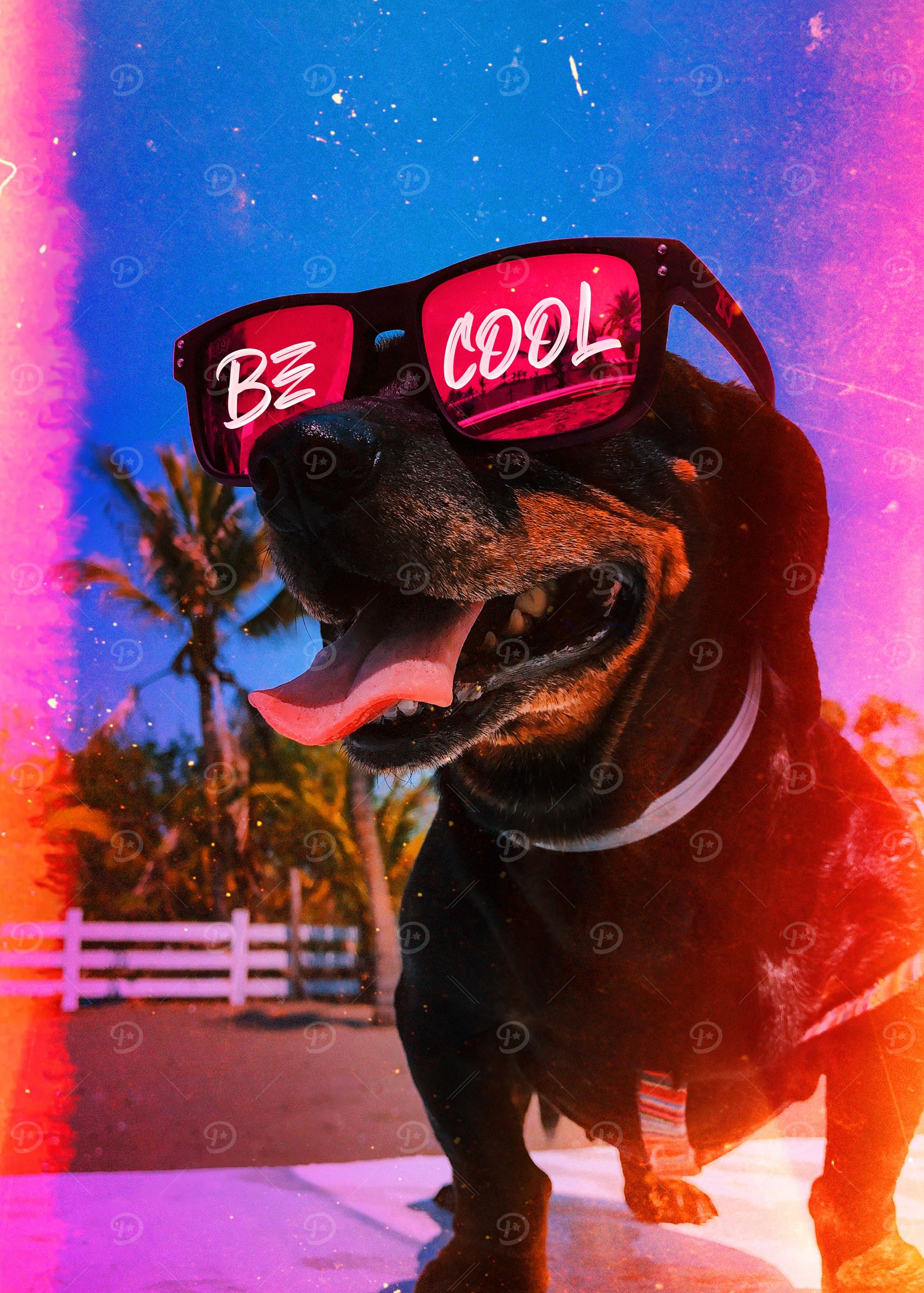 Cool Dog with Sunglasses