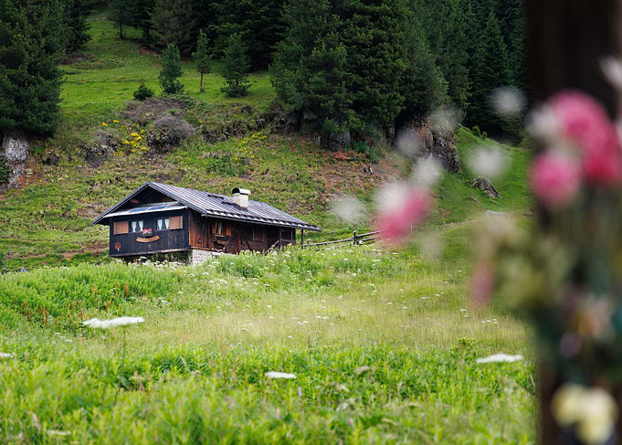 Cabin in a green mountain meadow - Val Duron - Italy