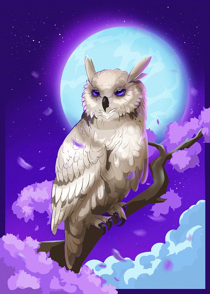 Where Owls Dream