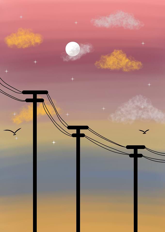 Sunset with Power Lines and Birds