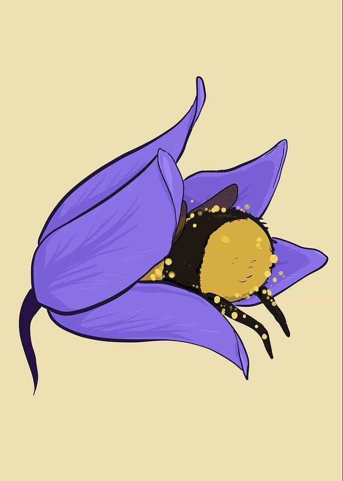 Bumblebee in Purple Flower Illustration