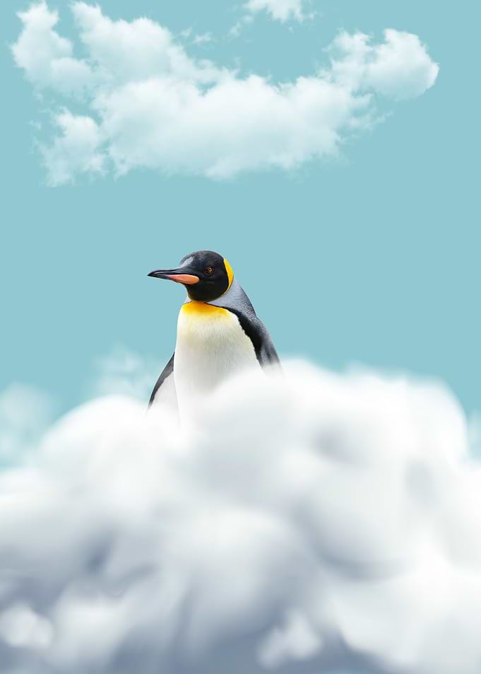 Penguin in the Clouds
