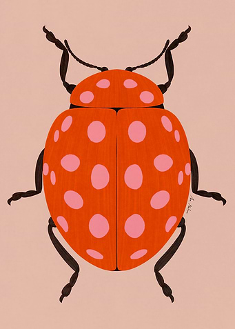 Ladybug Illustration with Pink Spots
