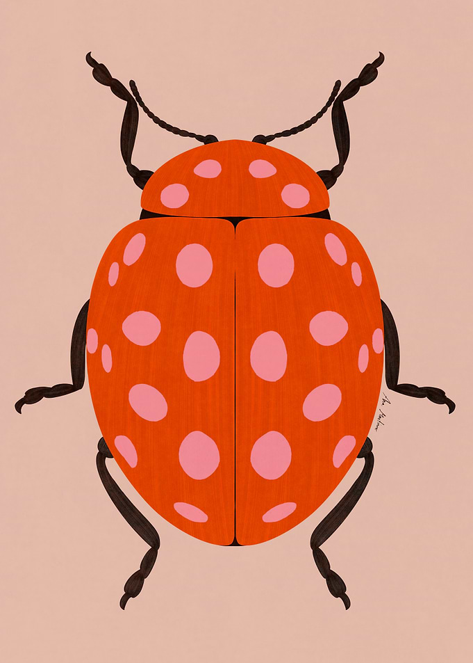 Ladybug Illustration with Pink Spots