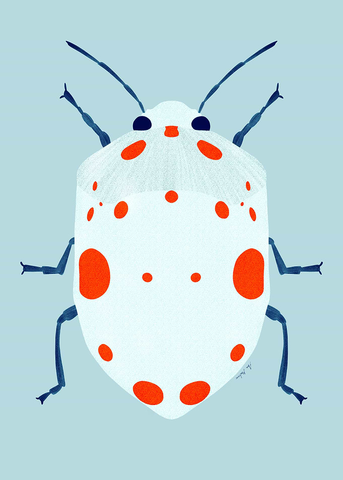 White bug beetle