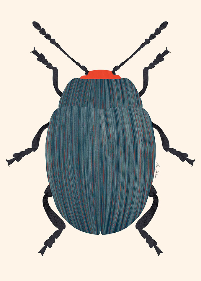 Stylized Beetle Illustration