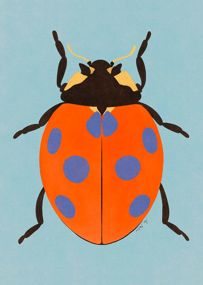 Ladybug Illustration on Blue Background