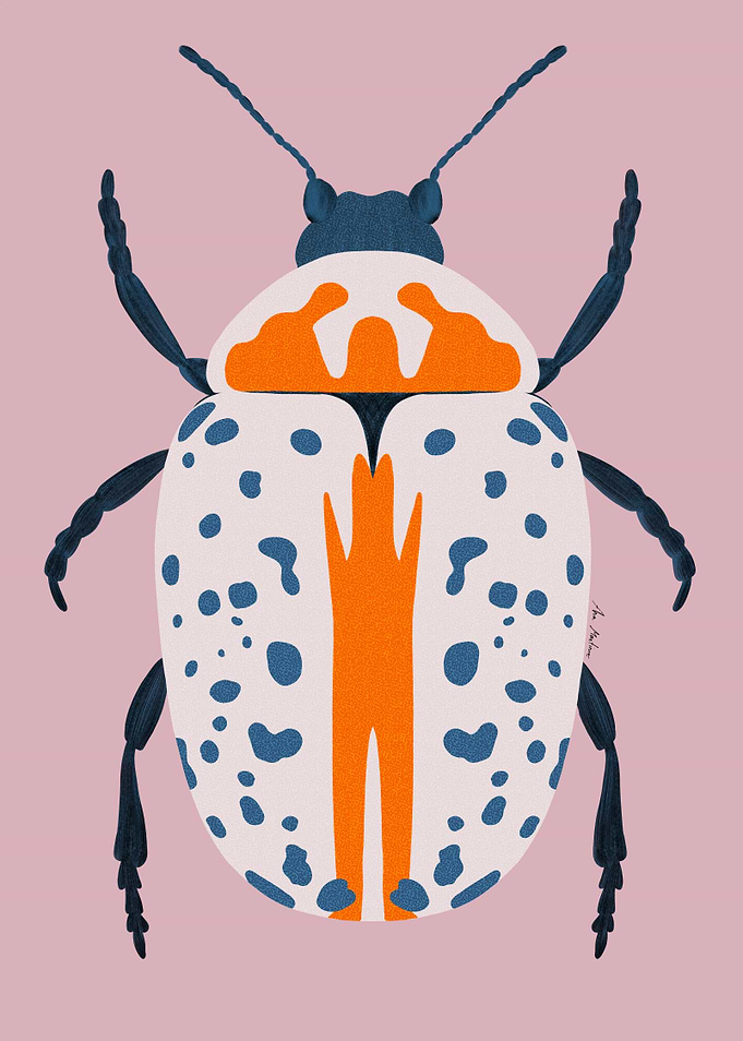Colorful Spotted Beetle Illustration on Pink