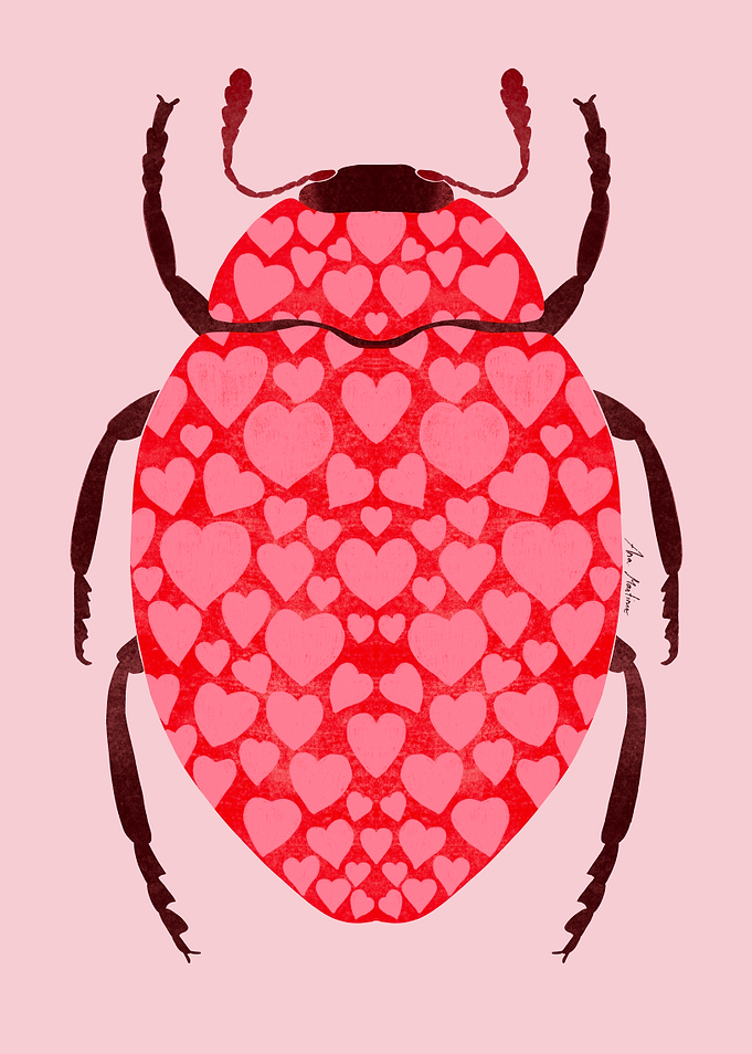 Heart-Patterned Beetle