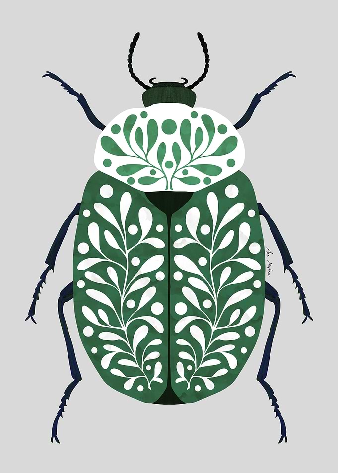 Decorative Green Beetle Illustration