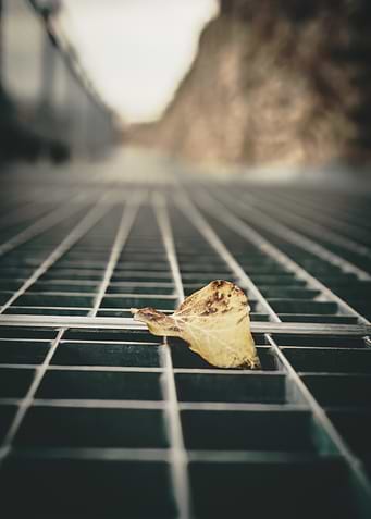 Lonely Leaf on Grate