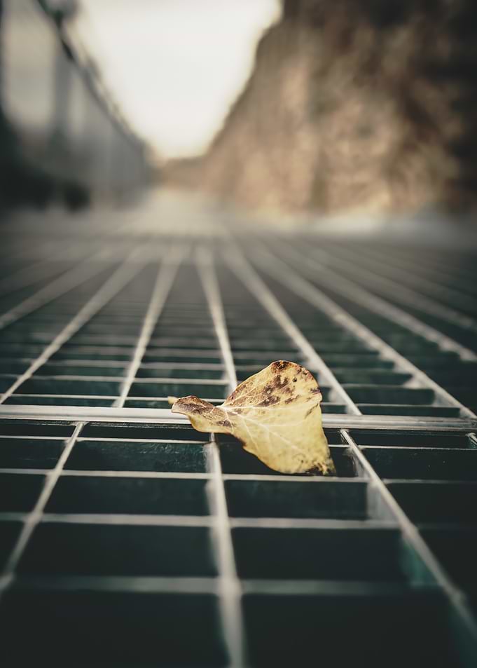 Lonely Leaf on Grate