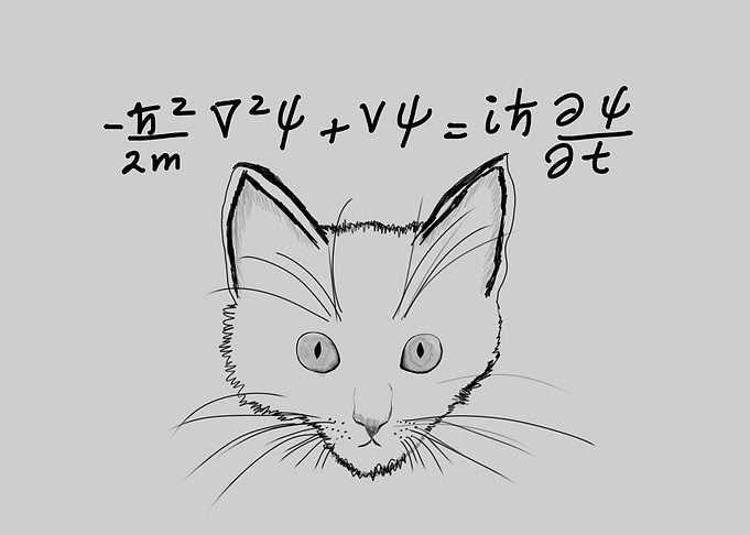 Schrödinger's Cat Equation Sketch
