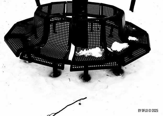 Black and White Bench in Snow