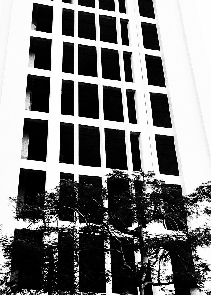 Black and White Building Facade