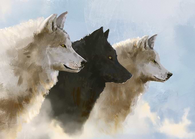 Three Wolves Portrait