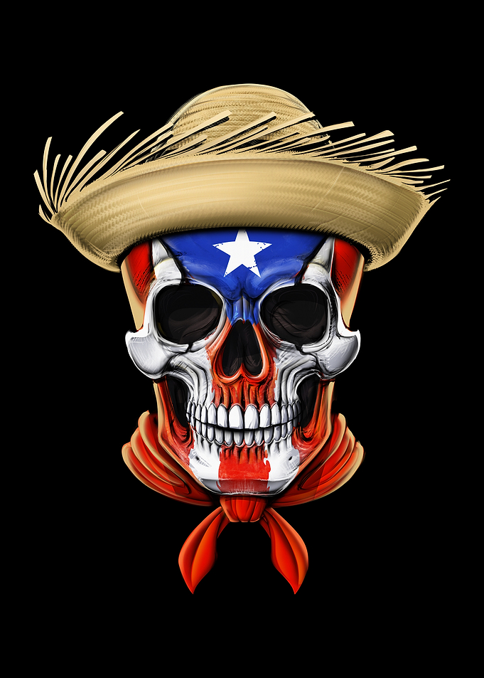 Puerto Rico Skull