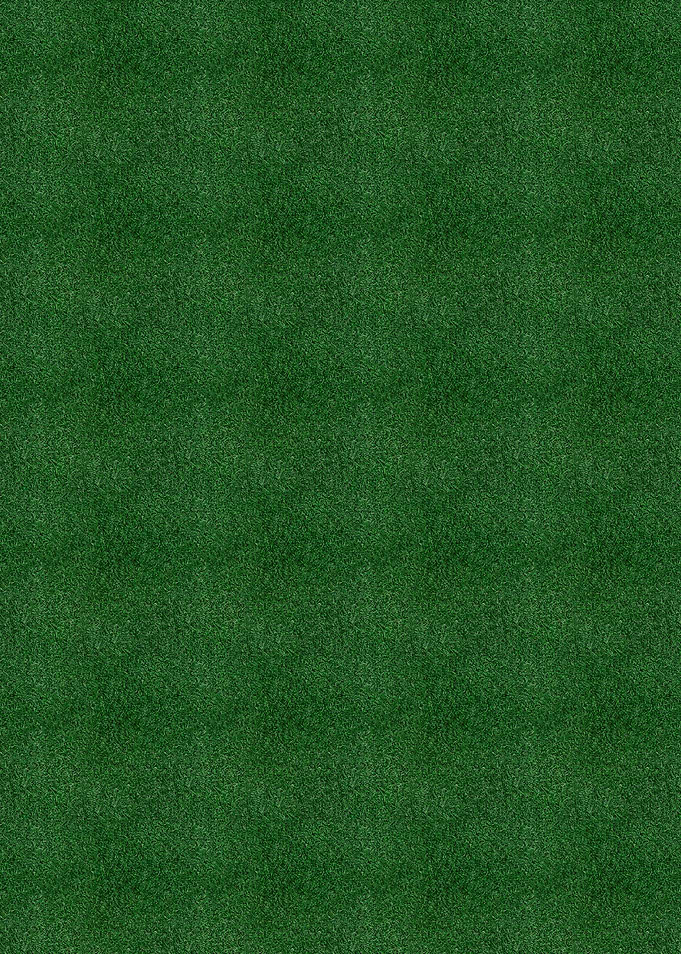Green grass texture background